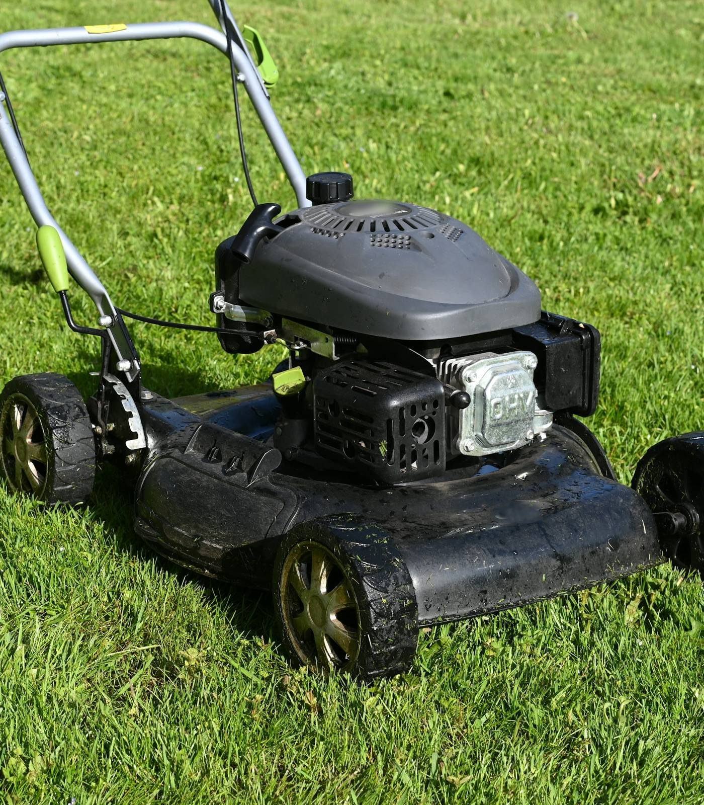A crew member pushing a mower across a freshly striped lawn beside a curving garden path.