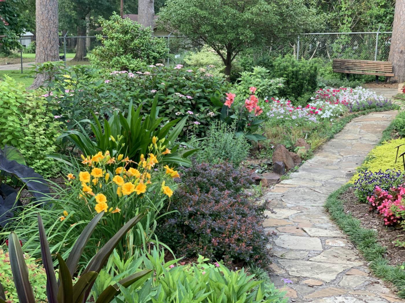**Fox Hollow** · A curving path through new perennial beds, built over two weeks.