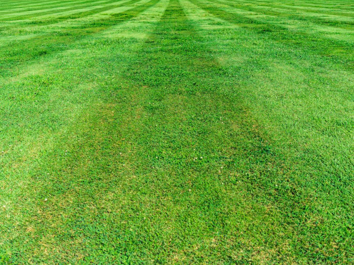 **Westbrook Heights** · A Full Season lawn in its third year with us.