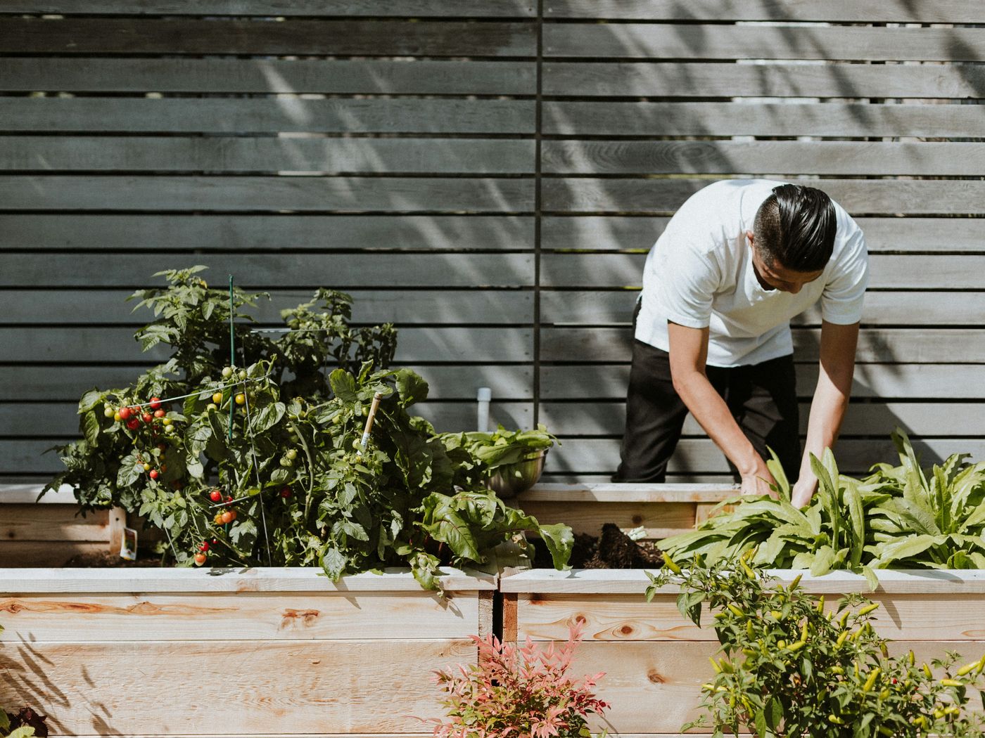**Linden Park** · Raised vegetable beds and gravel paths · 3 days